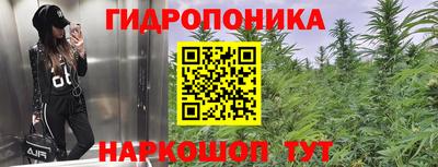 а пвп мука Свободный